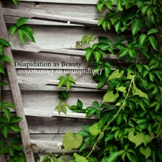 Dilapidation as Beauty/Dilapidation as Destruction